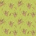 Wheat ear bunch watercolor seamless pattern isolated on green background. Spikelet of rye, barley, grains hand drawn Royalty Free Stock Photo