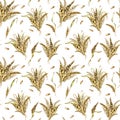 Wheat ear bunch watercolor seamless pattern isolated on white background. Spikelet of rye, barley, grains hand drawn Royalty Free Stock Photo