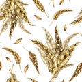 Wheat ear bunch watercolor seamless pattern isolated on white background. Spikelet of rye, barley, grains hand drawn Royalty Free Stock Photo