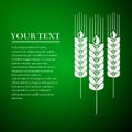 Wheat ear flat icon on green background Royalty Free Stock Photo