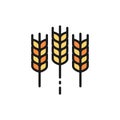 Wheat ear, grain flat color line icon. Isolated on white background Royalty Free Stock Photo