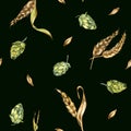 Wheat ear, hop watercolor seamless pattern isolated on black background. Spikelet of rye, humulus plant, hop cones hand Royalty Free Stock Photo