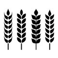 Wheat ear icon Royalty Free Stock Photo