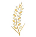 Wheat Ear Line Vector Isolated Icon customized and editable Royalty Free Stock Photo