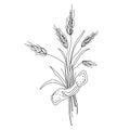 Wheat ear spikelet sealed with patch vector illustration isolated on white background. Royalty Free Stock Photo