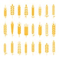 Wheat ear symbols for logo design. Royalty Free Stock Photo