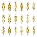 Wheat ear symbols for logo design Royalty Free Stock Photo