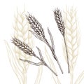 Wheat ear