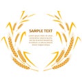 Wheat Ears around Your Text Sample on White