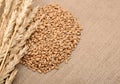 Wheat ears border Royalty Free Stock Photo