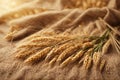 Wheat ears border on burlap background. Royalty Free Stock Photo