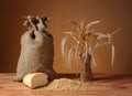 Wheat ears of corn in a vase Royalty Free Stock Photo