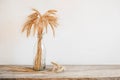 Wheat ears in a glass vase on a wooden table. Copy, empty space for text Royalty Free Stock Photo