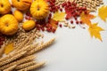 Wheat ears, grains, pumpkins, maple leaves and cranberries on a white background. Postcard Royalty Free Stock Photo