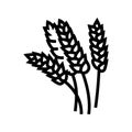 wheat ears harvest yellow line icon vector illustration Royalty Free Stock Photo