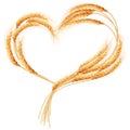 Wheat ears Heart on the white. EPS 10