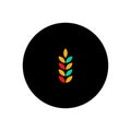 Wheat ears icon. Flat design, trendy modern color style. Spikes of rye, wheat. Barley isolated vector illustration. Sign Royalty Free Stock Photo