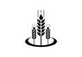 Wheat Ears Icon and Logo. For Identity Style of Natural Product Company and Farm Company. Agricultural symbol