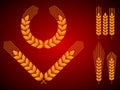 Wheat Ears Icons and Logo Set. Royalty Free Stock Photo