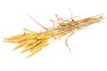 Wheat ears ilie. on white background Royalty Free Stock Photo