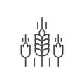 Wheat ears line outline icon Royalty Free Stock Photo