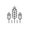 Wheat ears line outline icon Royalty Free Stock Photo