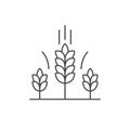 Wheat ears line outline icon Royalty Free Stock Photo