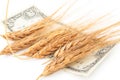 Wheat ears and money Royalty Free Stock Photo