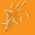 Wheat ears Royalty Free Stock Photo