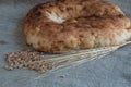 Still life of broken lavash, wheat sprouts and grains