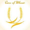 Wheat ears or rice icon.