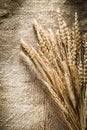 Wheat ears on sacking background Royalty Free Stock Photo