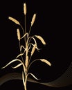 Wheat ears sheaf Royalty Free Stock Photo