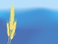 Wheat ears sky background Royalty Free Stock Photo