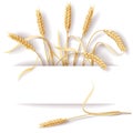 Wheat ears Royalty Free Stock Photo