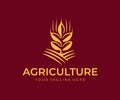 Wheat ears or spikelets with grains, whole grains and cereals grain, logo design. Agriculture, cereals harvest, farming, healthy f Royalty Free Stock Photo