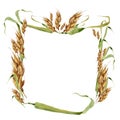 Wheat ears square frame watercolor pattern