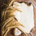 Wheat ears on vintage background Royalty Free Stock Photo