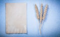Wheat ears vintage clean paper sheet on blue background horizont