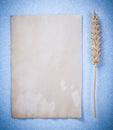 Wheat ears vintage paper sheet on blue background vertical image