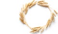 Wheat ears on a white background Royalty Free Stock Photo
