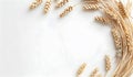 Wheat ears on a white background Royalty Free Stock Photo