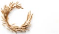 Wheat ears on a white background Royalty Free Stock Photo