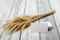 Wheat Ears on Wooden Table with blank business cards. Sheaf of Wheat over Wood Background. Harvest concept. Royalty Free Stock Photo