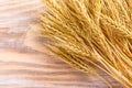 Wheat Ears on the Wooden Table. Sheaf of Wheat over Wood Background. Harvest concept Royalty Free Stock Photo