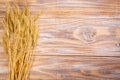 Wheat Ears on the Wooden Table. Sheaf of Wheat over Wood Background. Harvest concept Royalty Free Stock Photo