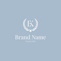 Wheat EK logo elegance skyblue Royalty Free Stock Photo