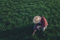 Wheat farmer analyzing crop development