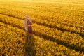 Wheat farmer with drone remote controller in field