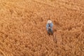 Wheat farmer with drone remote controller in field